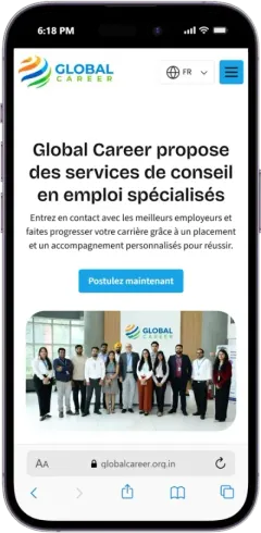 The same website shown in French after a visitor chose it