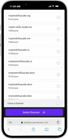 More domain suggestions, including premium names, with an option to use your own domain
